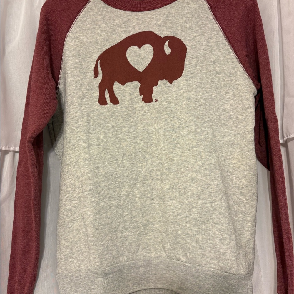 Alternative Burgundy and Gray Sweatshirt